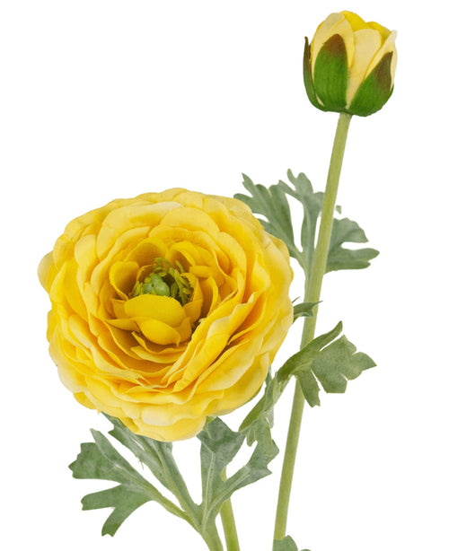La renoncule artificielle Real Touch jaune 60 cm a une renoncule jaune réaliste en pleine floraison, avec des pétales superposés réalistes, un bourgeon jaune fermé et des feuilles vertes sur un fond blanc.