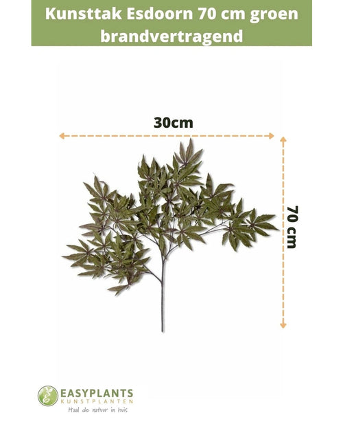 Branche d'érable artificielle de 70 cm verte ignifugée, de 30 cm de large, sur fond blanc avec indication de taille. Texte en haut, logo Easyplants Kunstplanten en bas. Idéal pour un accent automnal dans votre intérieur.