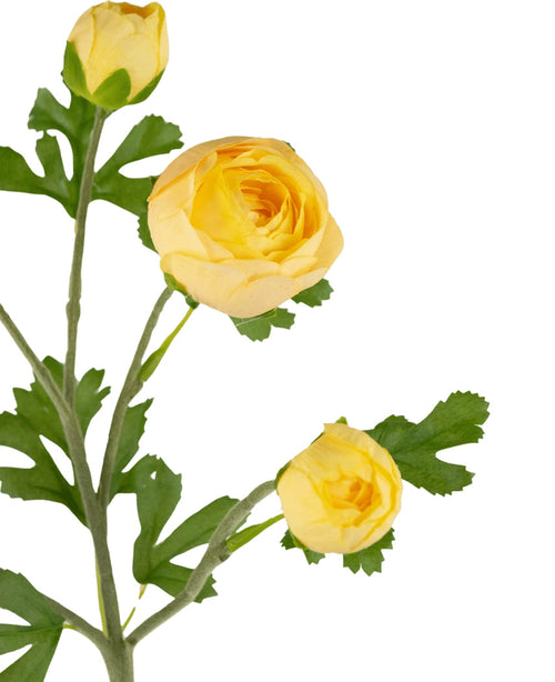 La branche de renoncule artificielle x5 Real Touch jaune 62cm présente cinq renoncules jaunes à différents stades et des feuilles vertes dentelées, le tout sur une seule tige, sur un fond blanc.