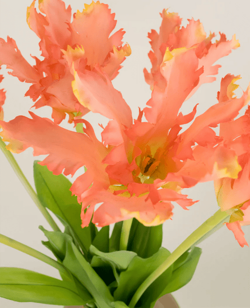 Bouquet de fleurs artificielles en soie, perruche française, tulipe, corail