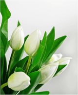 Un gros plan du bouquet artificiel en soie Tulipes dans un vase Blanc montre des fleurs de tulipes blanches fraîches et éclatantes avec des feuilles vertes sur un fond gris clair doux et déconcentré. Les tulipes sont partiellement fermées et magnifiquement réalistes.