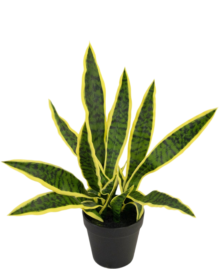 Une plante artificielle Sansevieria Laurentii de 44 cm dans un pot décoratif avec de longues feuilles vertes dressées, des bords jaunes et des rayures sombres est présentée sur un fond blanc uni.