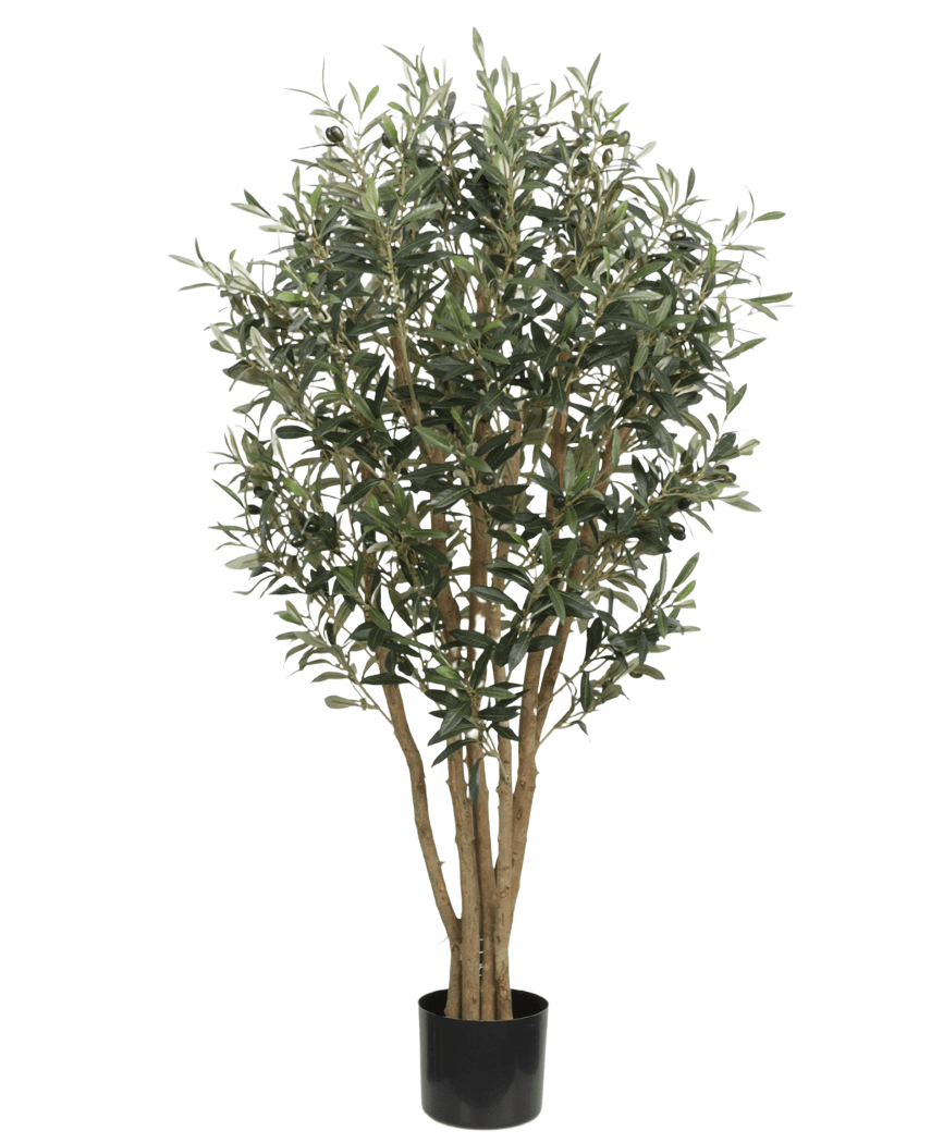 L'olivier artificiel UV 120 cm a des troncs minces brun clair et des feuilles vertes denses, est résistant aux UV pour une beauté extérieure durable et est livré dans un simple pot noir - idéal comme plante artificielle en extérieur sur n'importe quel fond.