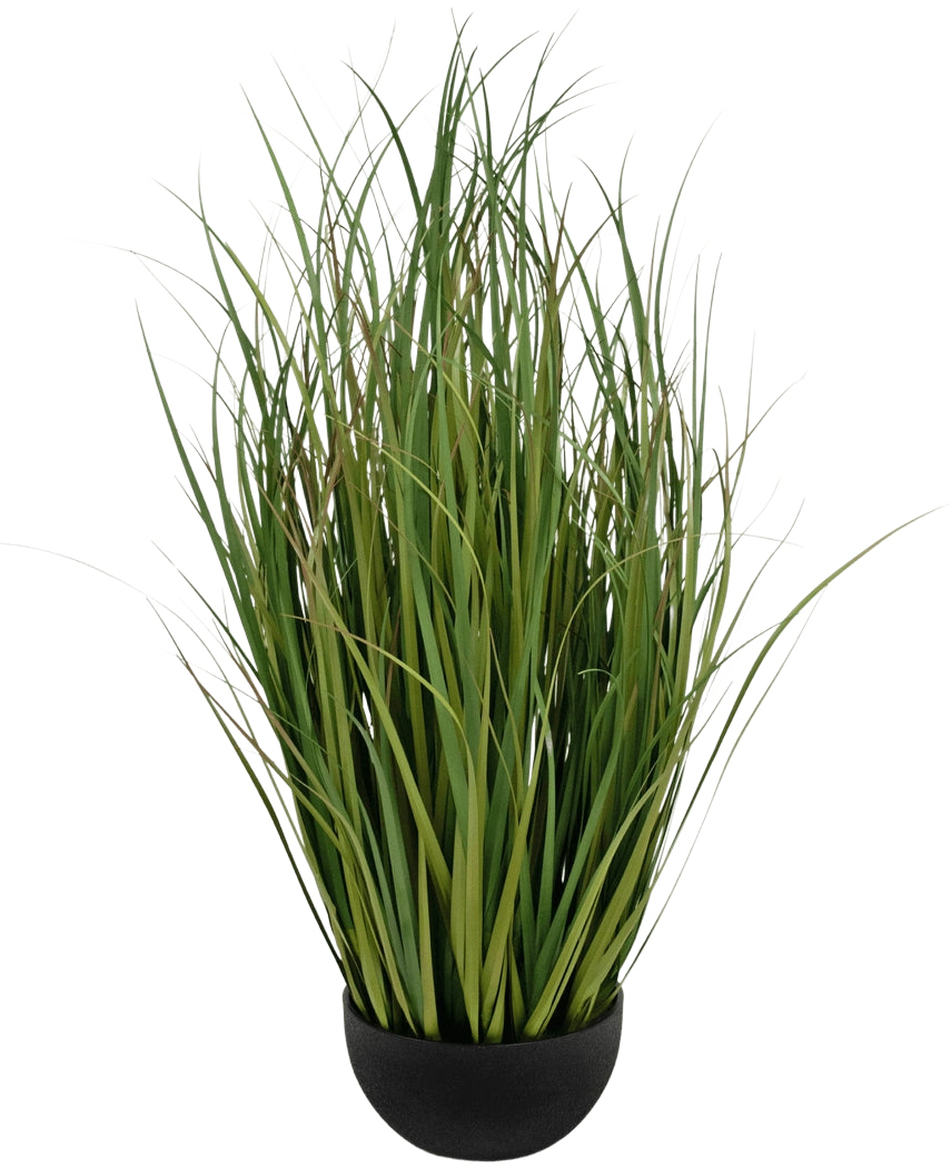 Gazon artificiel Herbe d'oignon Dogtail Bran 80 cm, ignifuge, dans un petit pot noir.