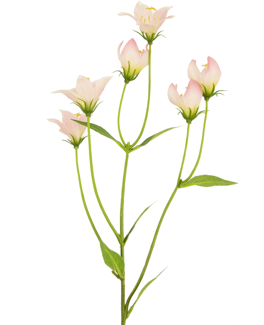 La fleur artificielle Aster 60 cm rose a une tige avec plusieurs fleurs rose clair en forme de cloche et des feuilles vertes. Les délicats pétales artificiels présentent des dégradés de couleurs subtils et des bords doux sur un fond blanc.