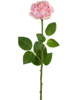 La Rose Artificielle Real Touch 56 cm rose clair est une rose artificielle simple rose clair avec une longue tige verte, de multiples feuilles vertes et des épines visibles, représentée sur un fond blanc uni.