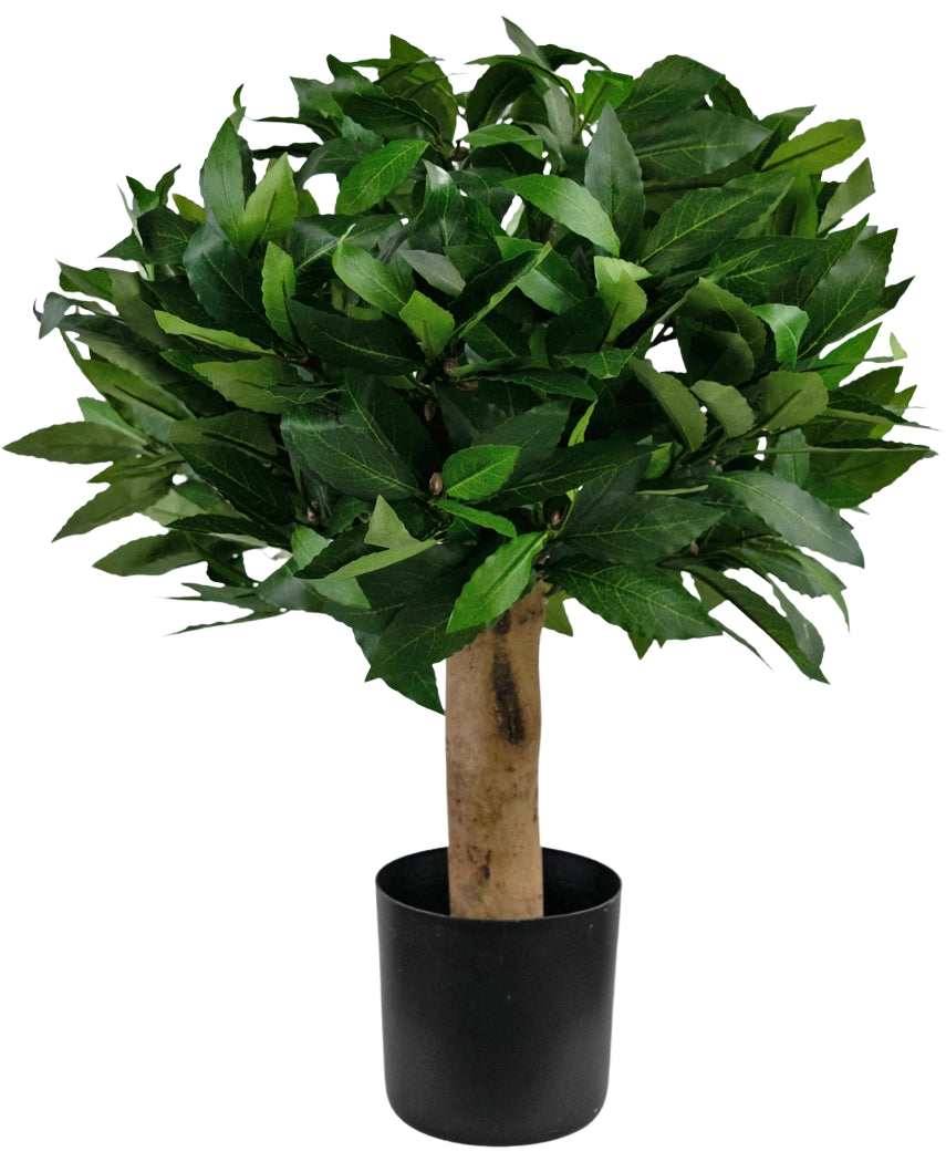 La plante Laurier Artificiel UV d30 cm est un arbre artificiel compact aux feuilles vertes denses et au tronc brun épais, dans un pot simple noir, sur un fond uni blanc.