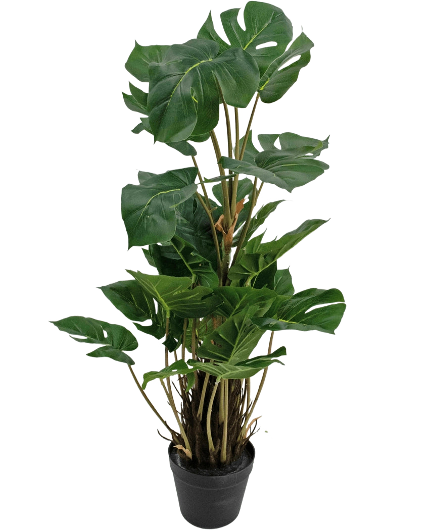 La Plante Artificielle Monstera 90 cm est une plante artificielle aux grandes feuilles vertes brillantes avec des fentes naturelles, dressées dans un pot noir sur un fond blanc uni.