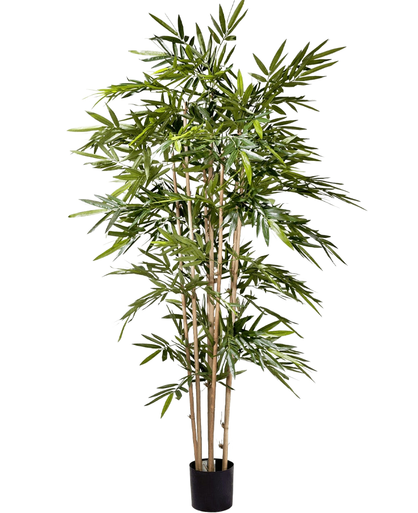 La plante artificielle Bambou 180 cm a de fines tiges marron clair et de longues feuilles vertes abondantes dans un petit pot noir, sur un fond blanc uni.