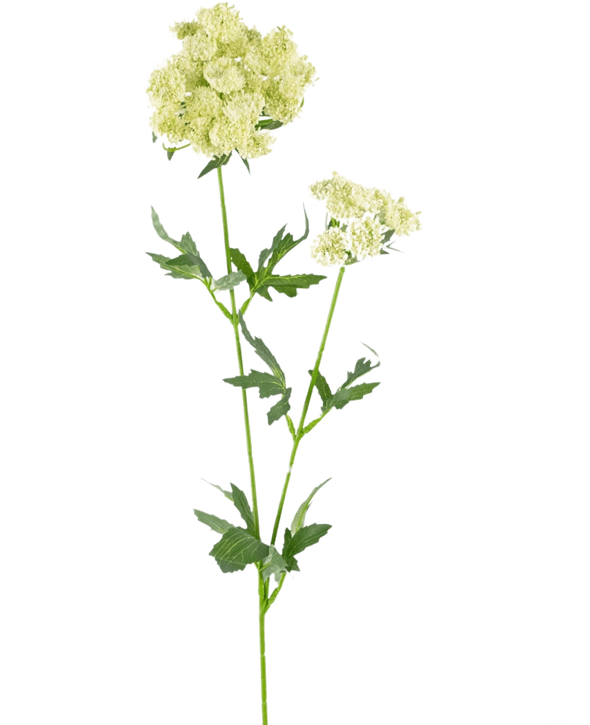 La Fleur Artificielle Lace Flower 76 cm blanche est une tige artificielle unique avec des bouquets de petites fleurs vert clair-blanc et des feuilles vertes dentelées et profondément lobées, sur un fond blanc uni.