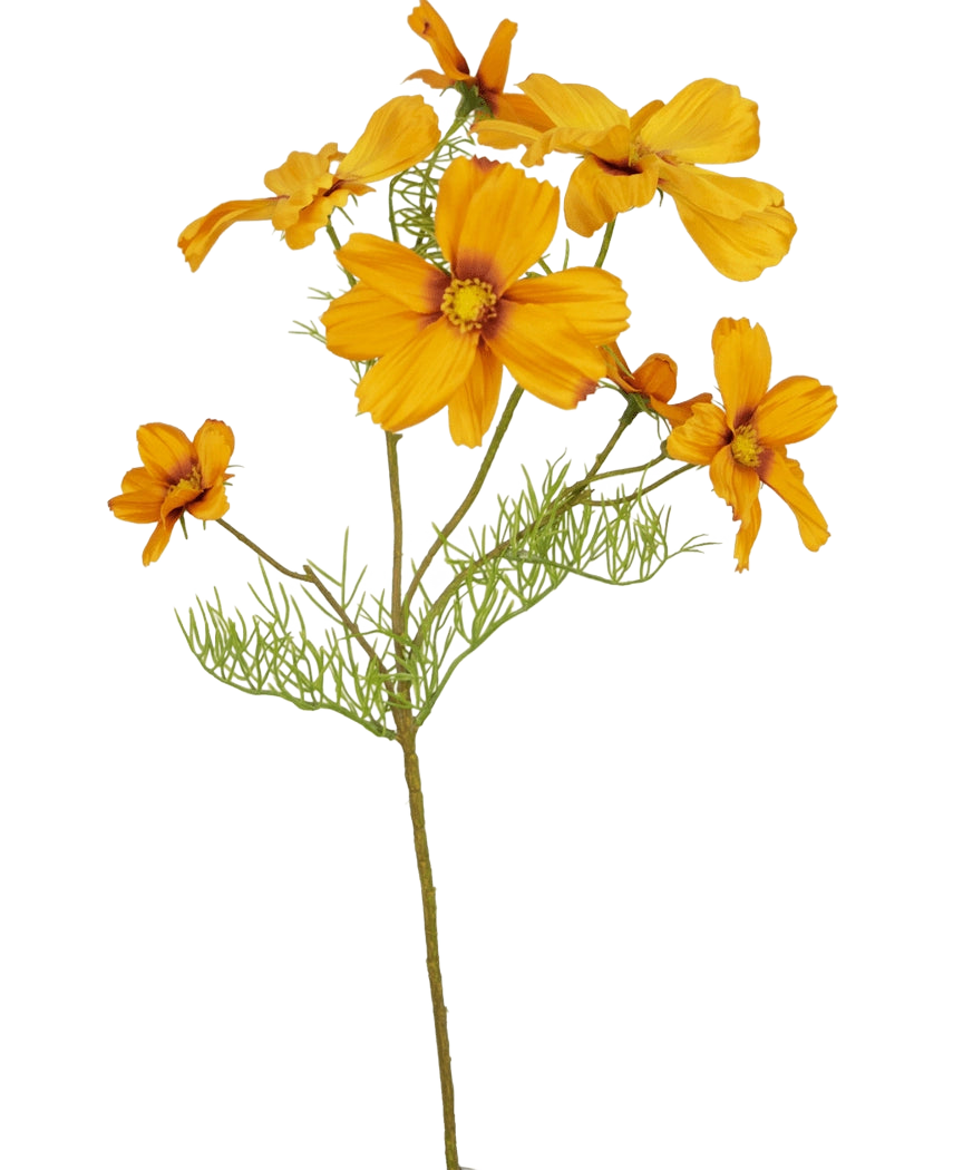 La fleur artificielle Cosmos 74 cm Orange présente plusieurs fleurs orange vif et des feuilles vertes délicates, ajoutant une touche florale artificielle vibrante à n'importe quel espace - parfaite pour la décoration florale de la maison, en particulier sur un fond blanc.