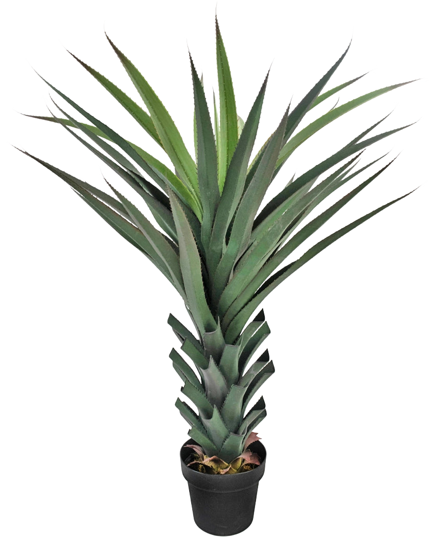 La plante artificielle Agave Pandora UV 120 cm possède de longues feuilles vertes pointues qui s'étendent à partir d'une tige épaisse et stratifiée, sur un fond blanc uni.