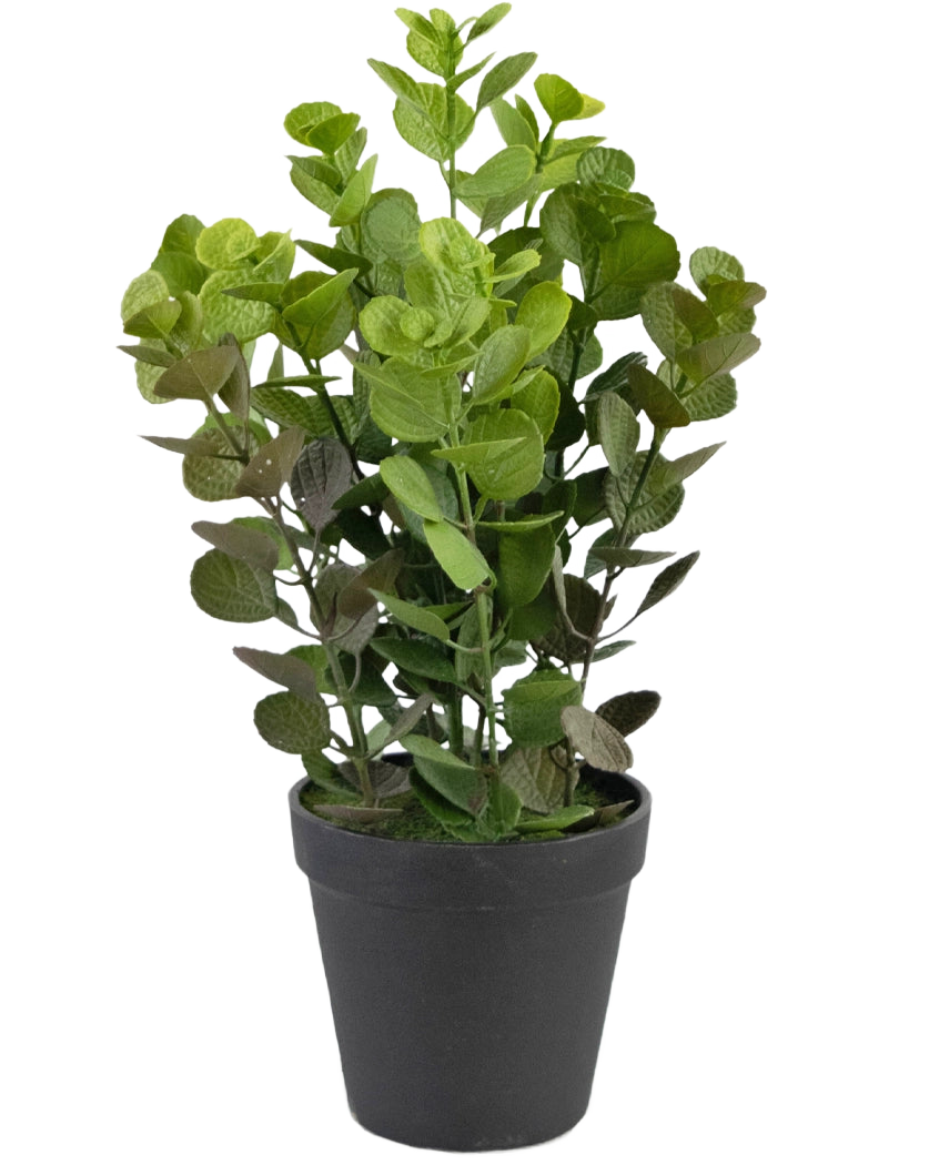 La Plante Artificielle Vicks 33 cm est une plante artificielle à feuilles vertes rondes dans un simple pot noir, sur un fond blanc uni.
