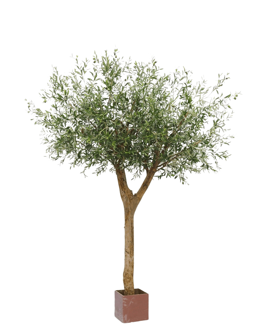 L'olivier artificiel avec olives 260 cm a un tronc élancé et des branches denses et feuillues avec des olives, présentées dans un petit pot carré marron sur fond blanc.