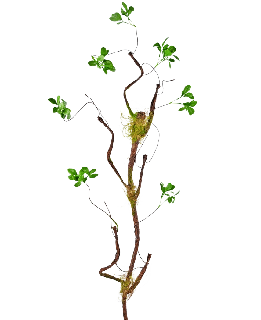 La branche artificielle Enkianthus 100 cm verte, une vigne artificielle élancée avec de petites feuilles vertes et des accents de mousse, se dresse sur un fond blanc uni.