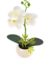 L'Orchidée Artificielle 28 cm blanche en pot présente trois grandes fleurs blanches et deux feuilles vertes dans un petit pot blanc, sur un fond uni.