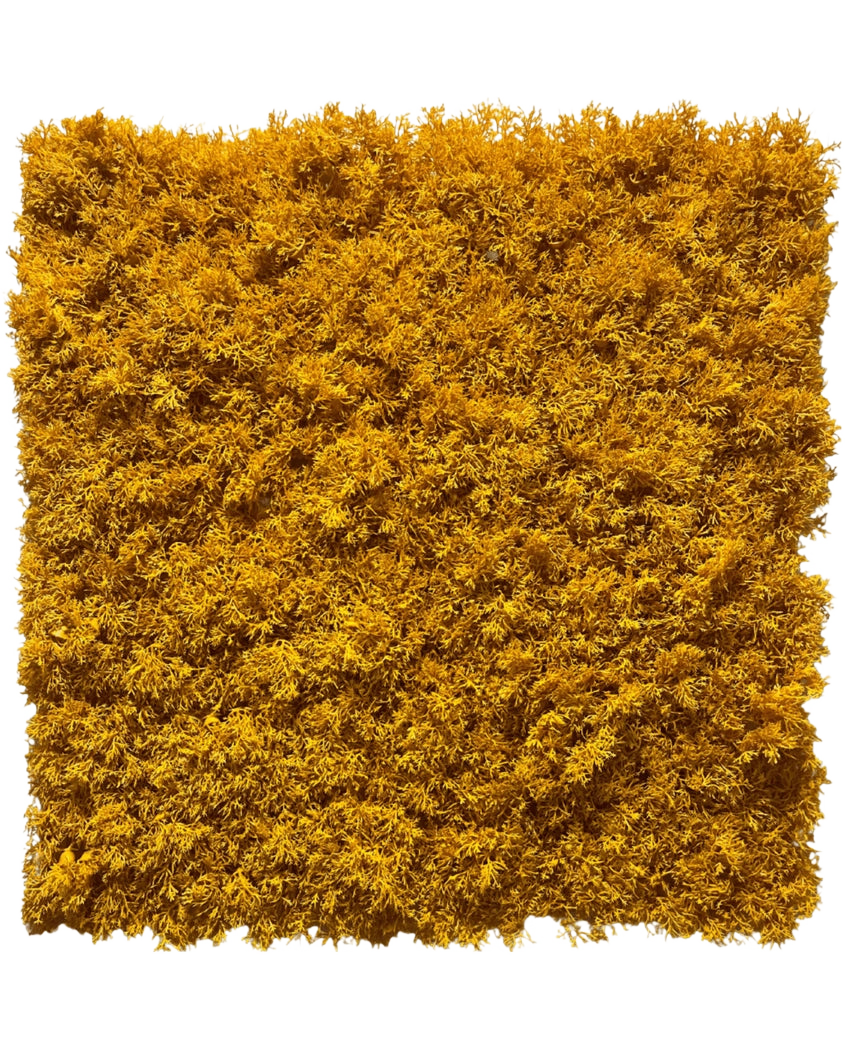 La haie artificielle mousse jaune ignifuge 50x50 cm est un panneau de mousse jaune vif, densément compacté, aux bords inégaux, représenté sur un fond blanc uni.