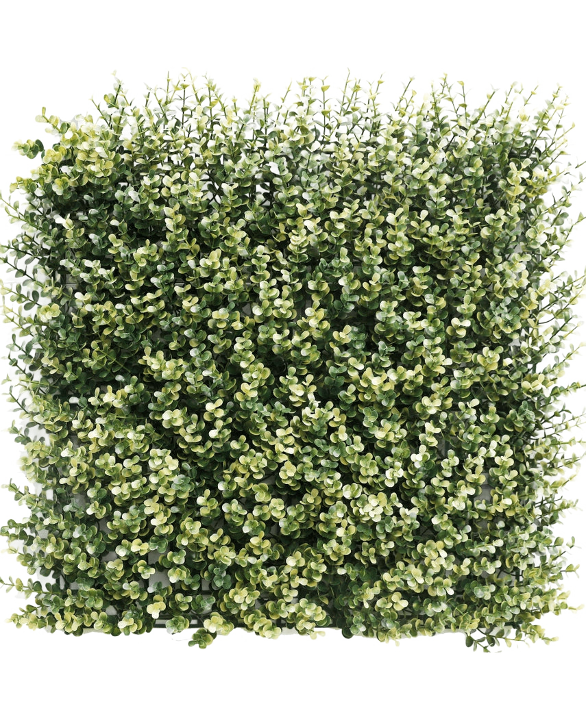 Haie artificielle Buis beige 50x50 cm UV : Panneau carré dense de verdure artificielle avec de petites feuilles vertes et beiges, conçu pour ressembler à une haie épaisse ou à un mur de jardin, sur un fond uni blanc.