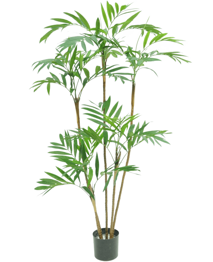Le Plante Artificielle Parlour Deluxe 120 cm est un grand palmier d'intérieur en pot avec plusieurs tiges fines brunes et des bouquets de feuilles vertes longues et étroites, sur un fond blanc uni.