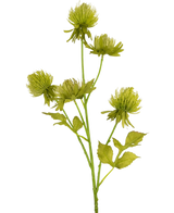 Le chardon artificiel de 66 cm vert a cinq fleurs vertes rondes et vaporeuses et un certain nombre de feuilles dentelées sur une tige artificielle, sur un fond blanc uni.
