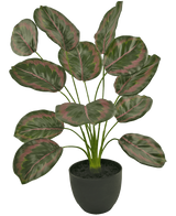 Le Calathea artificiel 58 cm vert/rouge est une plante d'intérieur en pot avec de grandes feuilles ovales aux bords verts et aux motifs rouge-rose, qui poussent debout sur de fines tiges dans un simple pot noir.