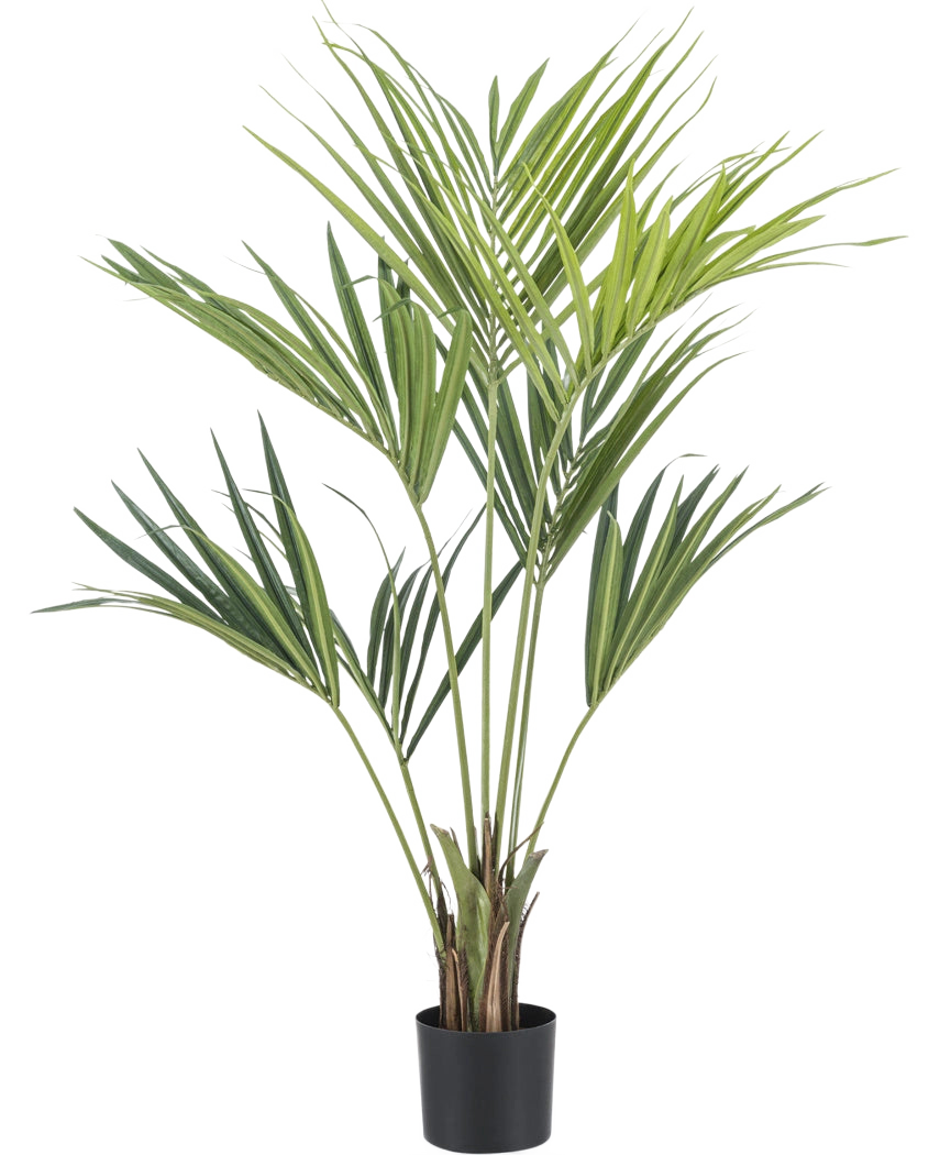 Le palmier artificiel Kentia 135 cm est un grand palmier artificiel vert avec de longues feuilles fines et de multiples troncs, en pot sur un fond blanc uni.