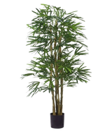 La plante artificielle ignifuge Lady Palm de 150 cm a de fines feuilles vertes et plusieurs fines tiges brunes dans un petit pot noir, sur un fond blanc uni.