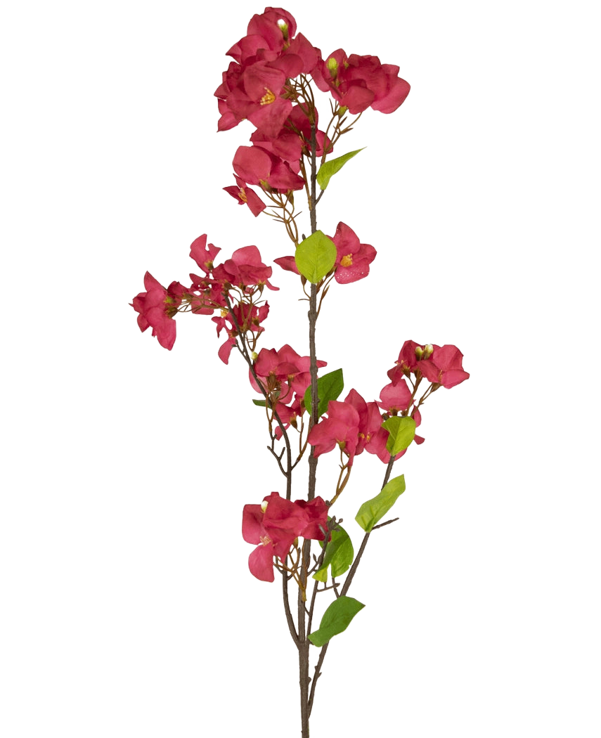 La Fleur Artificielle Bougainvillier 120 cm bordeaux a une seule tige avec plusieurs fleurs artificielles bordeaux profond et des feuilles vertes sur de fines branches brunes, sur un fond blanc uni.