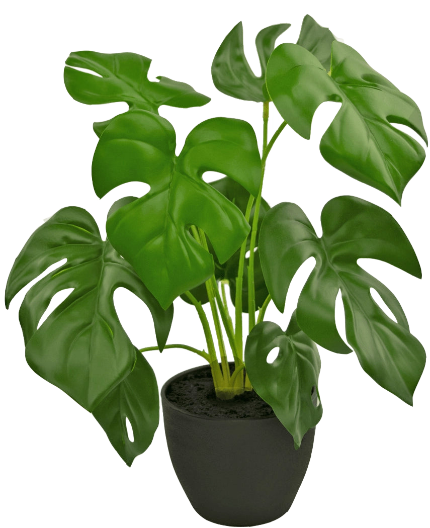 Le Monstera artificiel 40 cm en pot décoratif noir est un Monstera artificiel avec de grandes feuilles vertes brillantes avec des trous et des fissures naturels, dans un simple pot décoratif noir rempli de terre sombre.