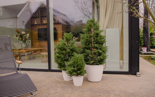 Les plantes artificielles peuvent-elles être utilisées à l’extérieur ?