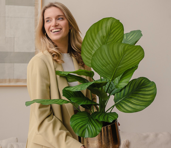 Les plantes artificielles sont-elles écologiques ?