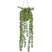 Plantes suspendues artificielles