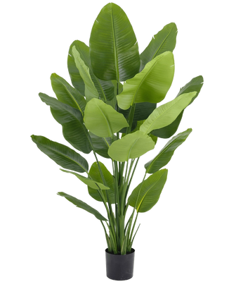 Plante artificielle Strelitzia