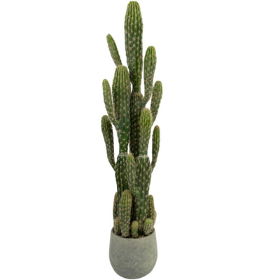 Cactus artificiel