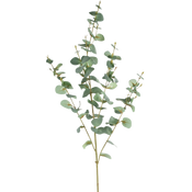 Eucalyptus artificiel