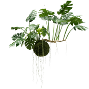 Grandes plante artificielle suspendue