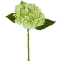 Hortensia artificiel