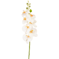 Orchidée artificiel