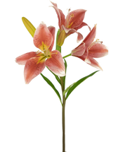 Lys artificiel