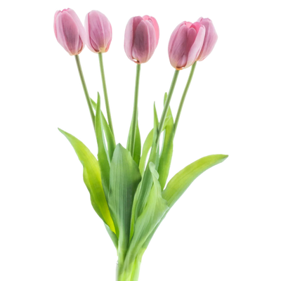 Tulipes artificielles