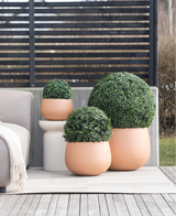Trois jardinières rondes en terre cuite UV D30 cm de style romain en buis artificiel avec des arbustes verts taillés se trouvent sur une terrasse à côté d'un canapé d'extérieur beige et d'une petite table blanche, avec un écran d'intimité avec des lattes derrière.