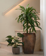 Une grande plante artificielle Alocasia Cucullata UV de 53 cm avec des feuilles en forme de cœur dans un grand pot marron avec structure et une plante plus courte dans un petit pot gris se dressent sur un escalier en bois clair contre un mur et une balustrade beige neutre.