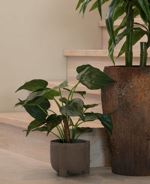 Une plante en pot avec de grandes feuilles en forme de cœur repose sur un parquet clair près des escaliers. A côté se trouve la plante artificielle Alocasia Cucullata UV 53 cm dans un pot à structure marron.