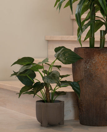 Une plante en pot avec de grandes feuilles en forme de cœur repose sur un parquet clair près des escaliers. A côté se trouve la plante artificielle Alocasia Cucullata UV 53 cm dans un pot à structure marron.