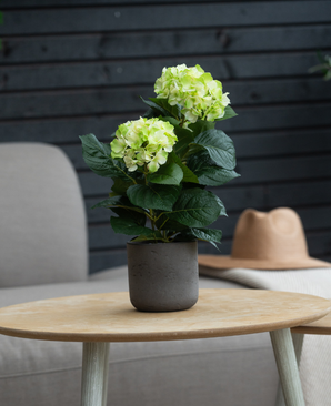 L'hortensia artificiel vert UV 35 cm avec des fleurs vert clair se dresse sur une table ronde en bois. Derrière lui se trouvent une chaise grise avec des coussins et un chapeau beige sur une couverture légère.