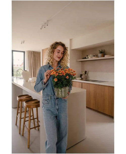 Une femme aux cheveux blonds bouclés, vêtue d'une chemise en jean et d'un jean, se tient dans une cuisine moderne, tenant une plante UV artificielle marguerite de 31 cm avec des fleurs orange vif. À côté d’elle se trouvent deux tabourets en bois près de l’îlot de cuisine.