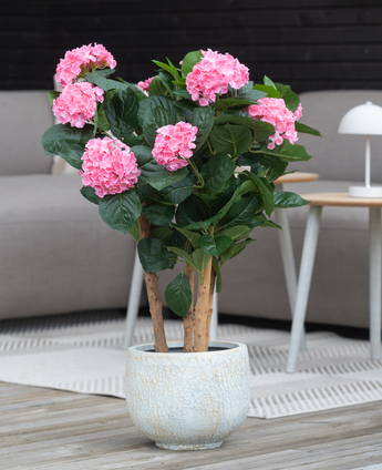 La plante Hortensia Artificielle UV 85 cm rose a des fleurs d'hortensia rose vif et des feuilles vert foncé dans un pot, parfaite pour la décoration intérieure sur un parquet, avec un canapé et une table en arrière-plan.