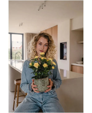 Une femme aux cheveux blonds bouclés, vêtue de vêtements en jean, est assise dans une cuisine moderne avec la plante artificielle Mini Rose UV 35 cm jaune dans ses mains et regarde droit dans la caméra.