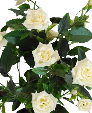 Diverses plantes artificielles Patio Rose 35 cm crème Roses artificielles résistantes aux UV en blanc avec des feuilles vertes, présentées sur un fond blanc.