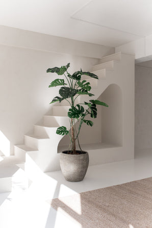 La Plante Artificielle Monstera 210 cm trône dans un intérieur minimaliste et ensoleillé avec des murs blancs, des lignes modernes, un escalier et un tapis beige. La douce lumière naturelle souligne le design élégant de la pièce.